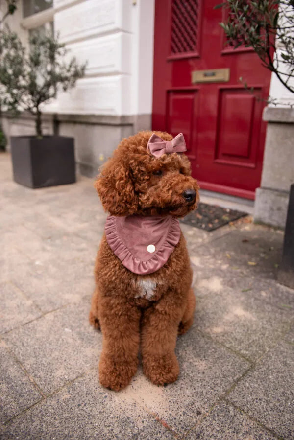 Bandana Ruffle Up Blush