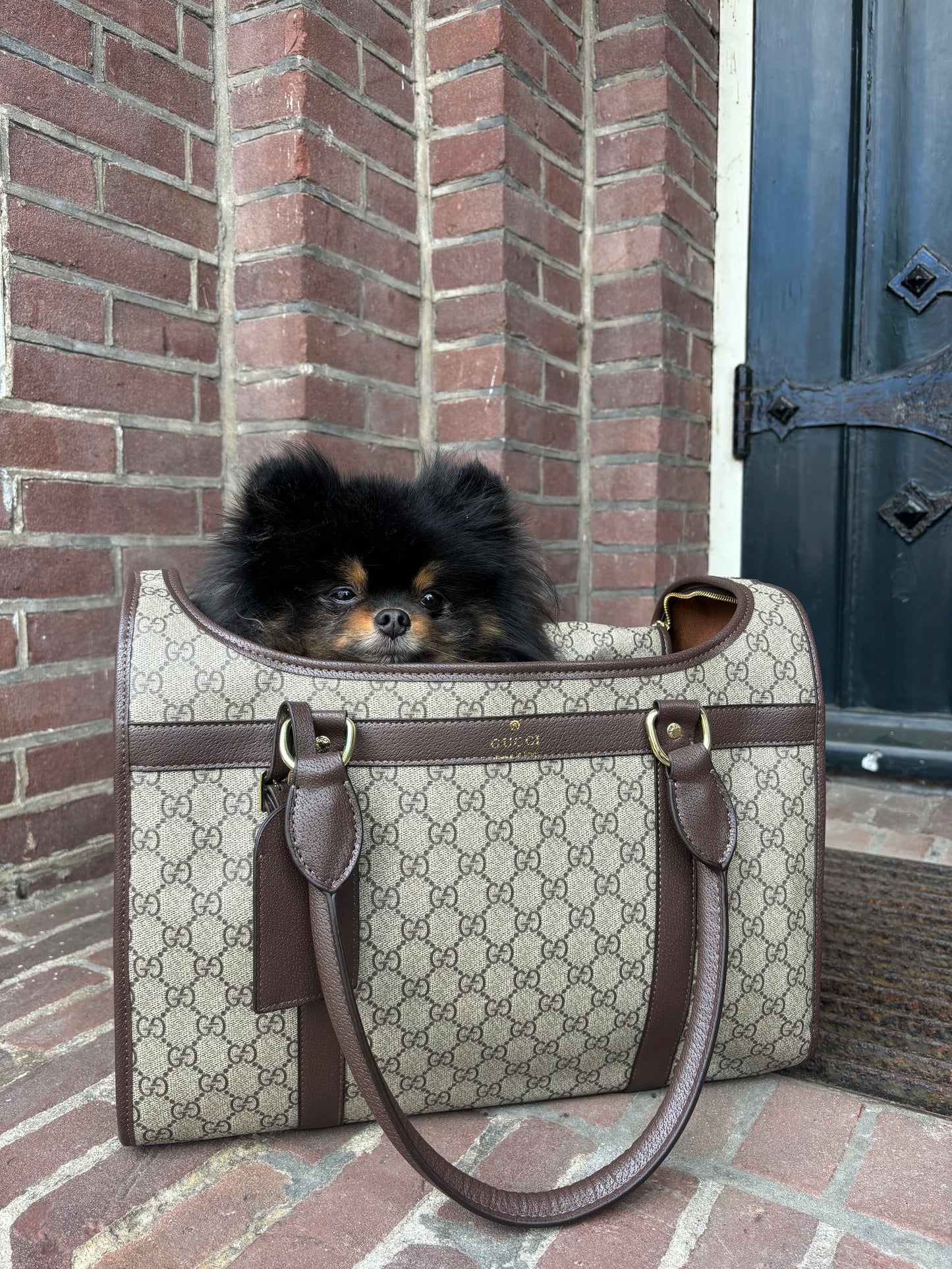 Reistas bruin