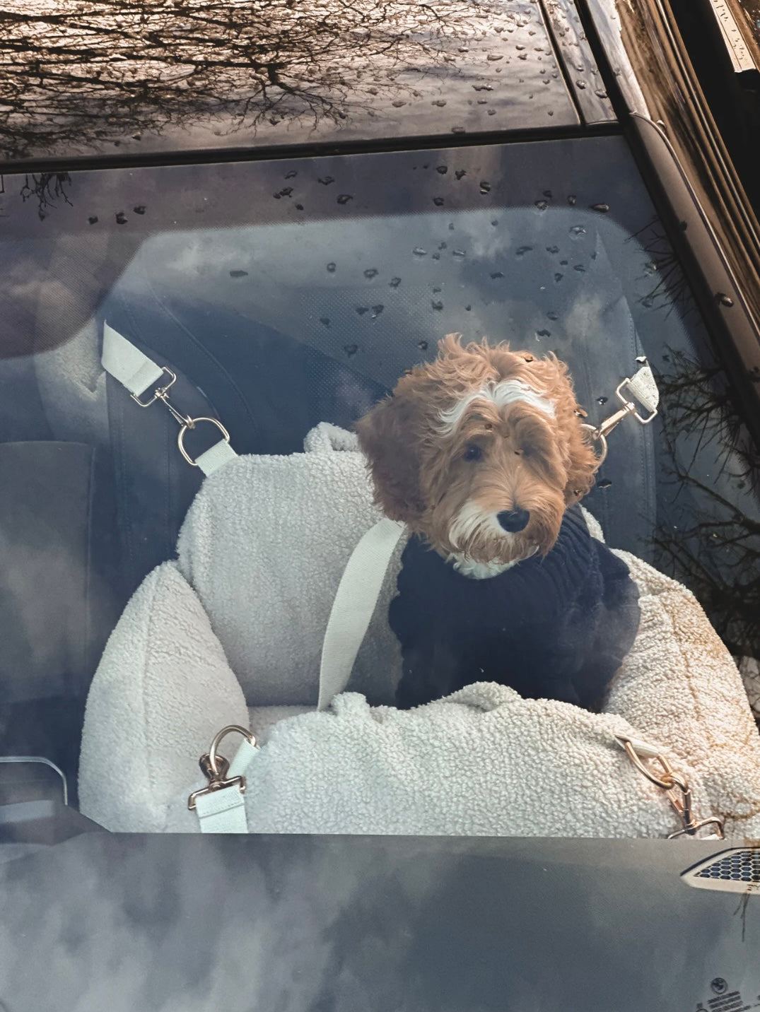 Teddy autostoel beige