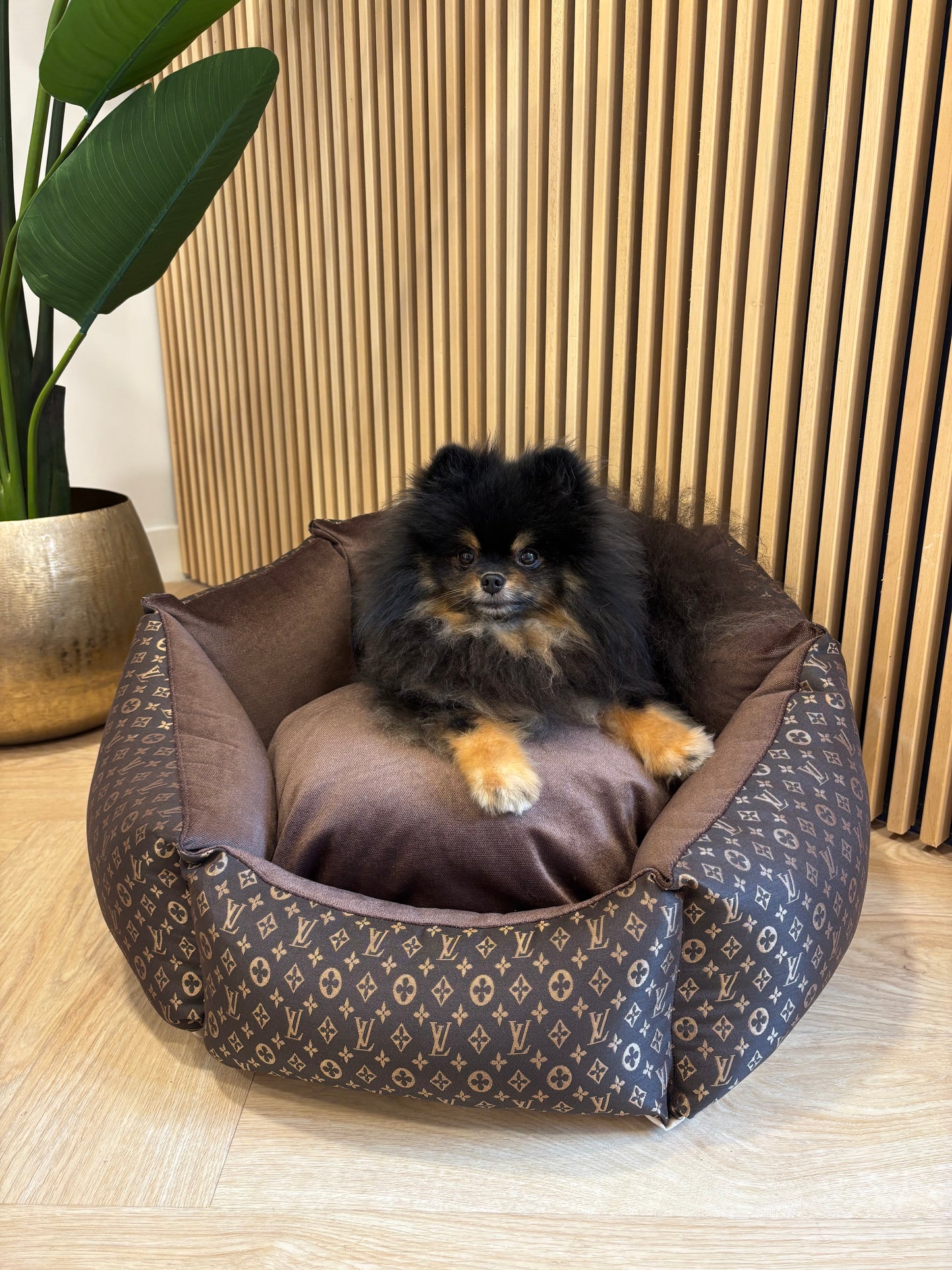 Shell Mand - LV bruin