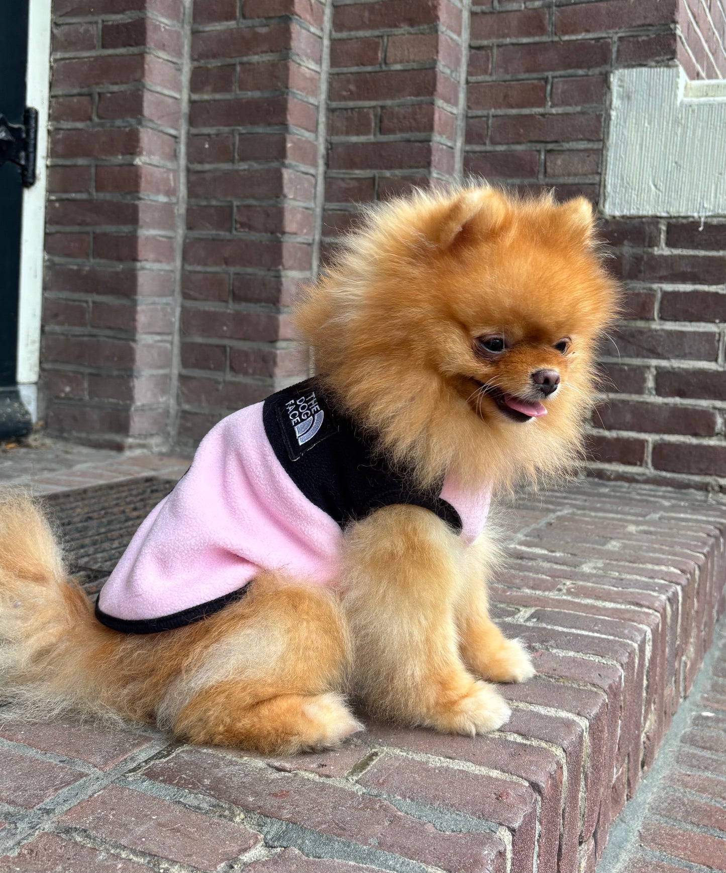 The Dog Face - Fleece vest roze