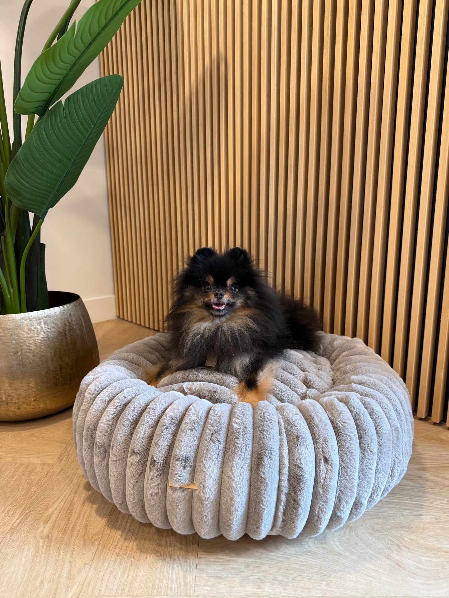Donut mand Mishka - Grijs