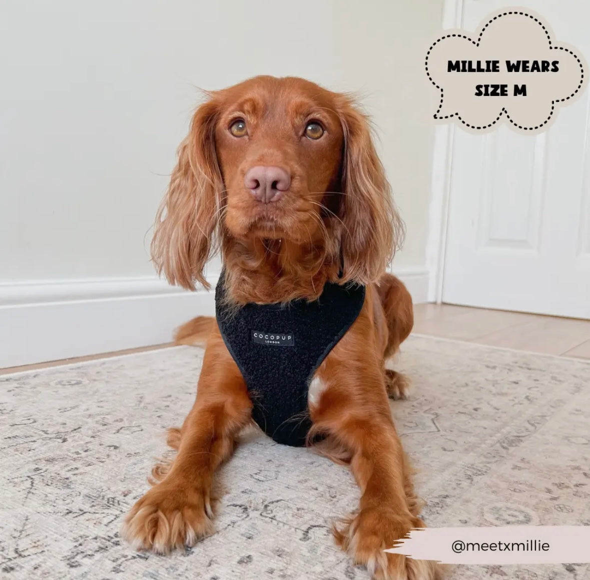 Cocopup London - Teddy Tuig Zwart