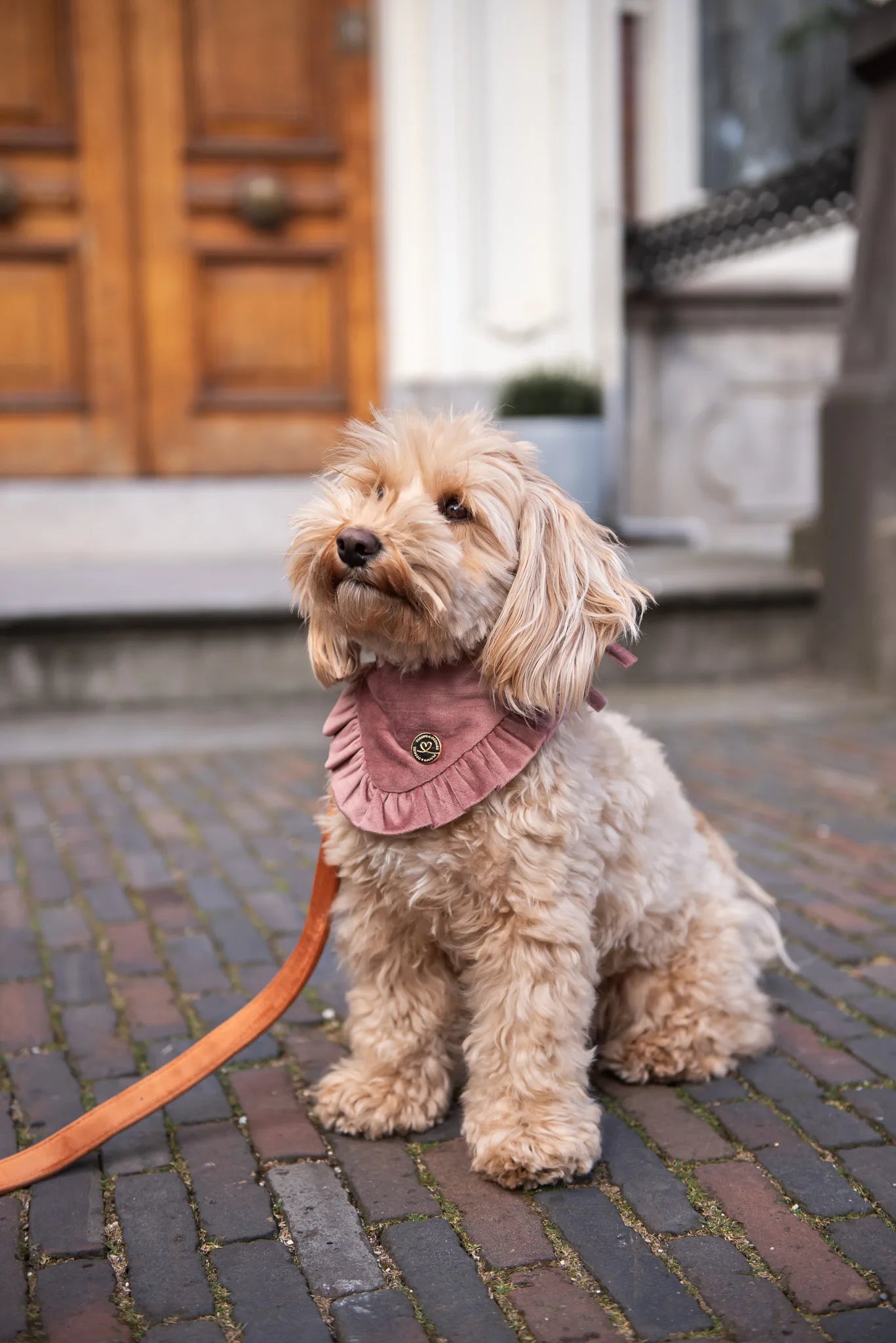 Bandana Ruffle Up Blush