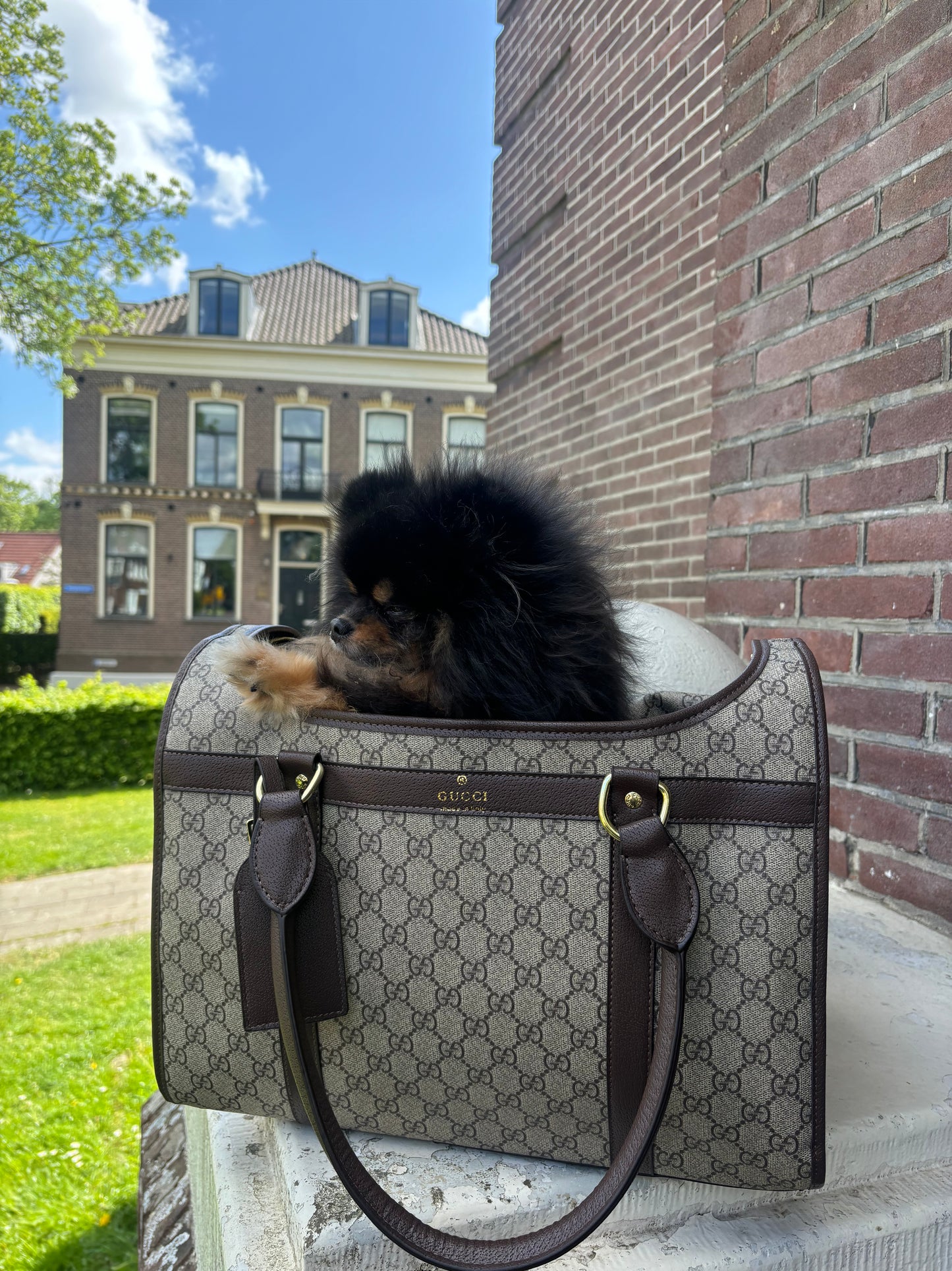 Reistas bruin