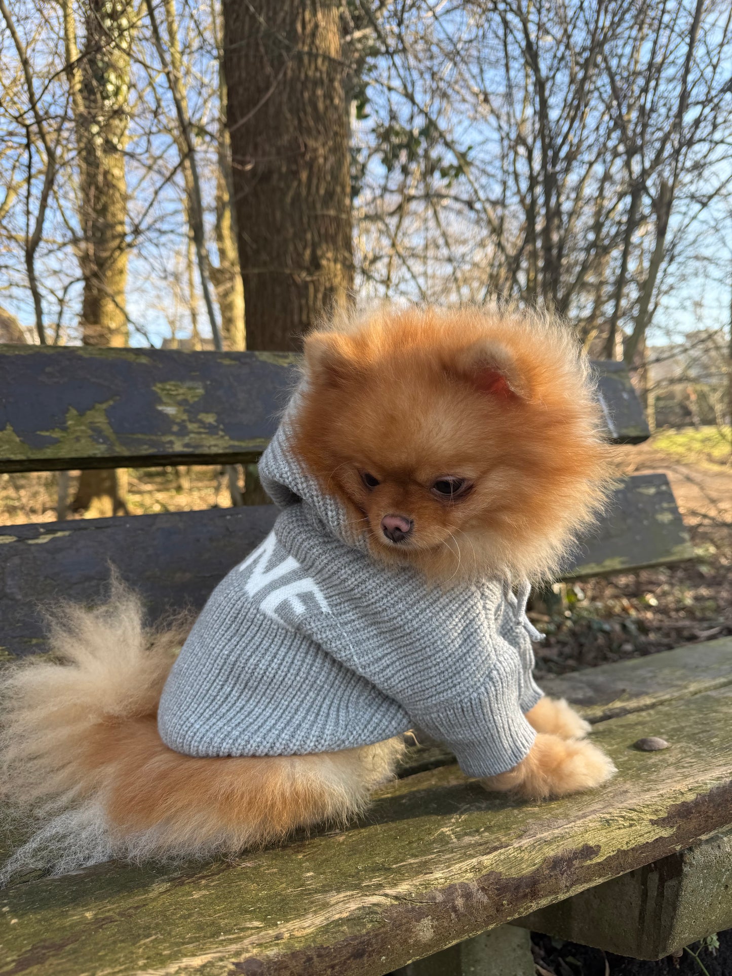 Hoodie grijs