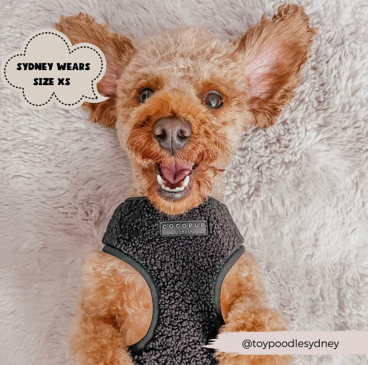 Cocopup London - Teddy Tuig Zwart