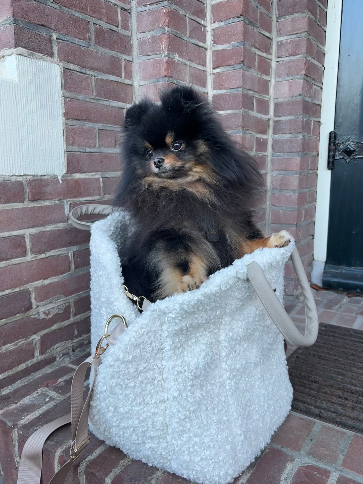 Teddy Bouclé tas