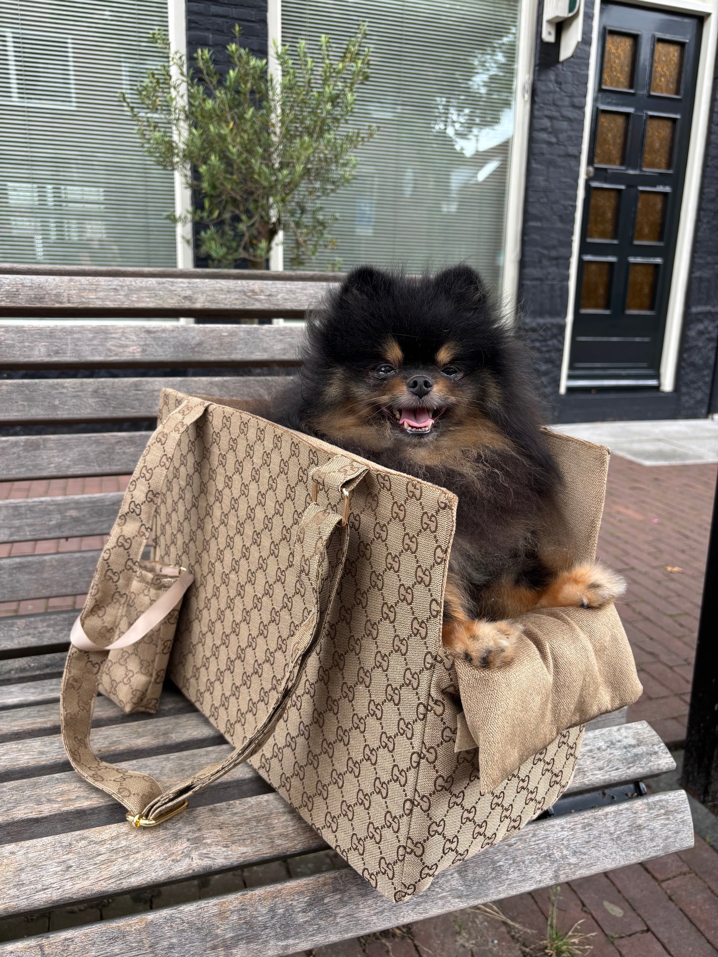 Tas Chip - GG beige