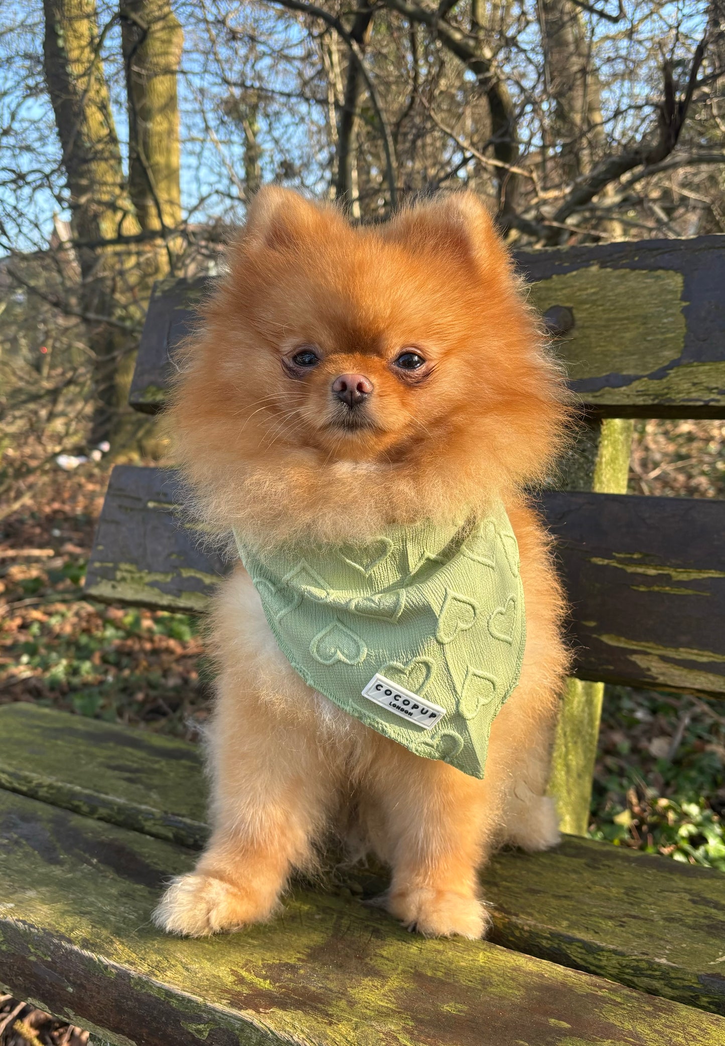 Cocopup London - Bandana Sage Hartjes