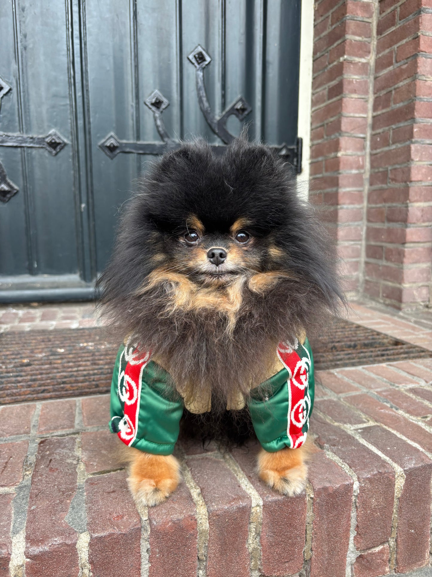 Puffer Jas - GG groen/goud