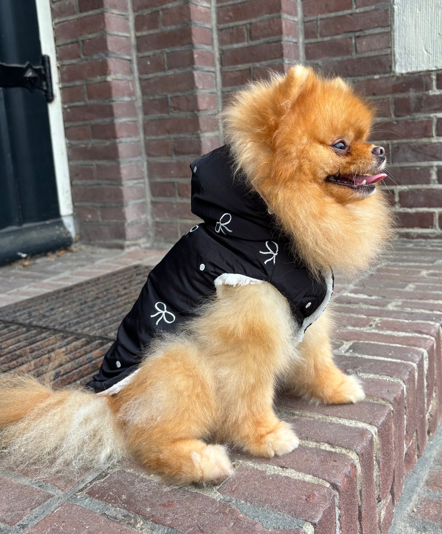 Zachte bodywarmer met geborduurde strikjes - Zwart