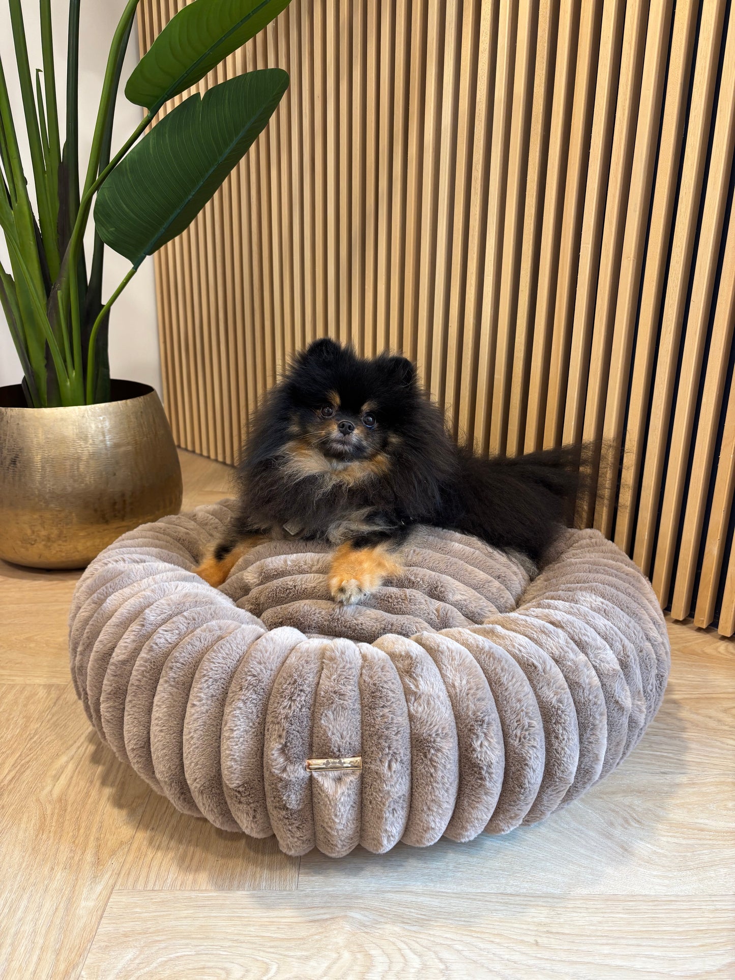 Donut mand Mishka - Bruin