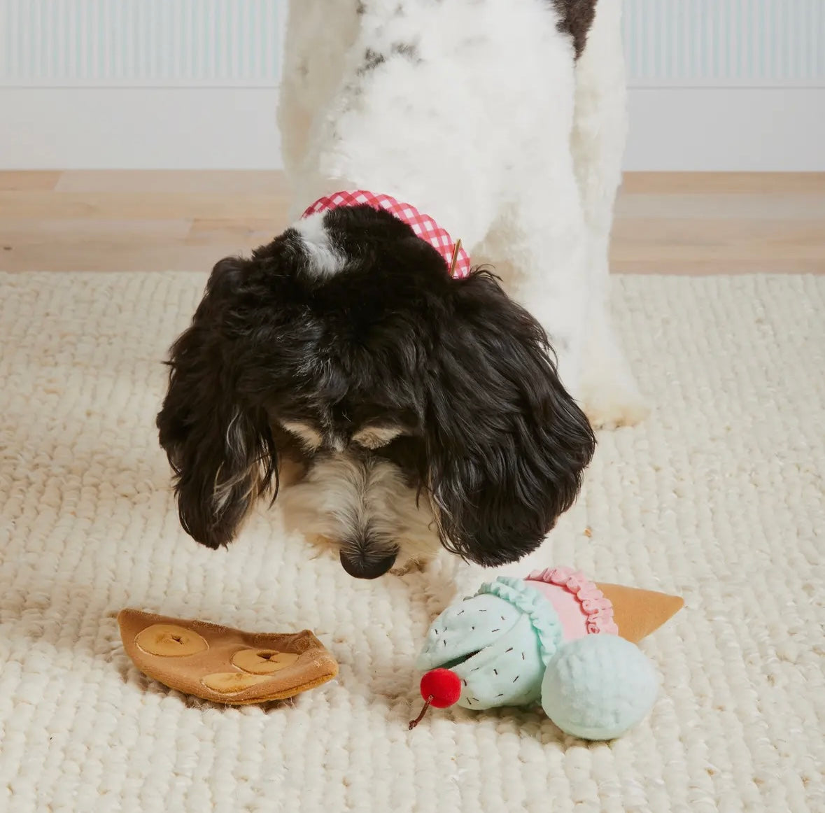 The Foggy Dog - Interactief speelgoed ijsje