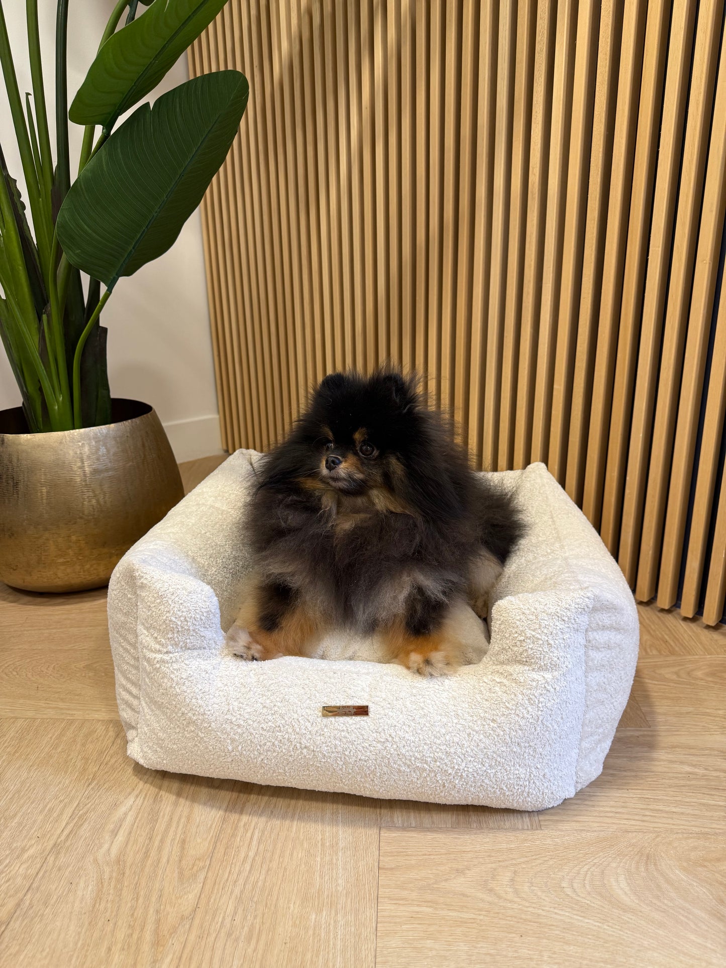 Mand Noa - Teddy Milky