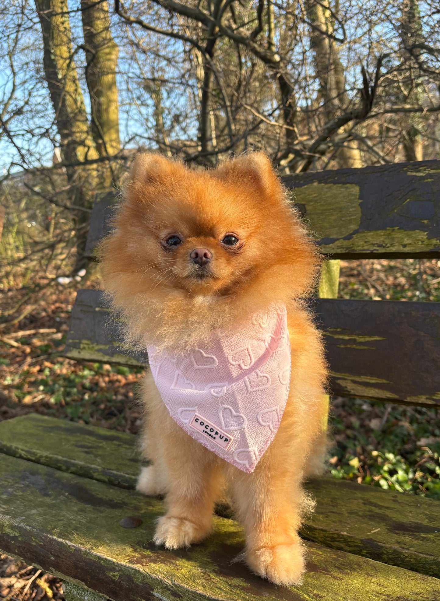Cocopup London - Bandana Roze Hartjes
