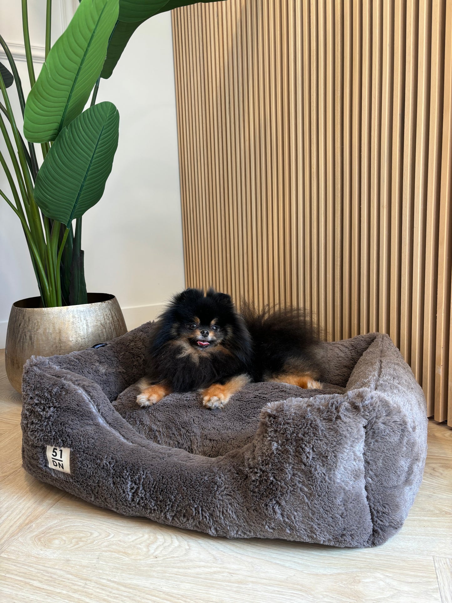 51DN - Zachte mand bruin