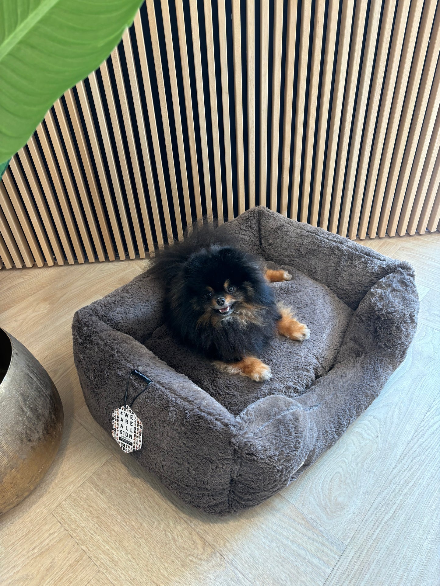 51DN - Zachte mand bruin