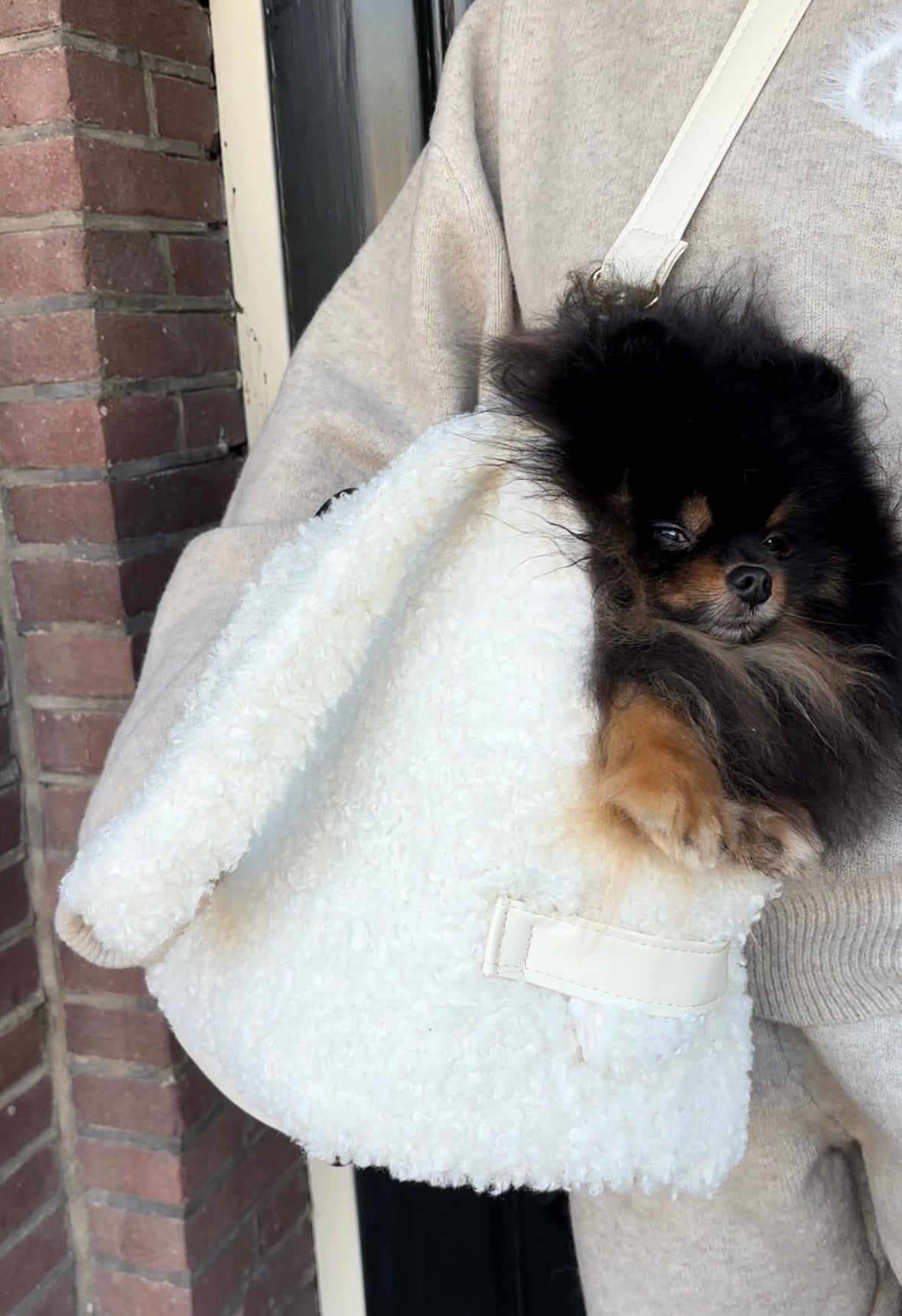 Eh Gia Fair Bag Teddy