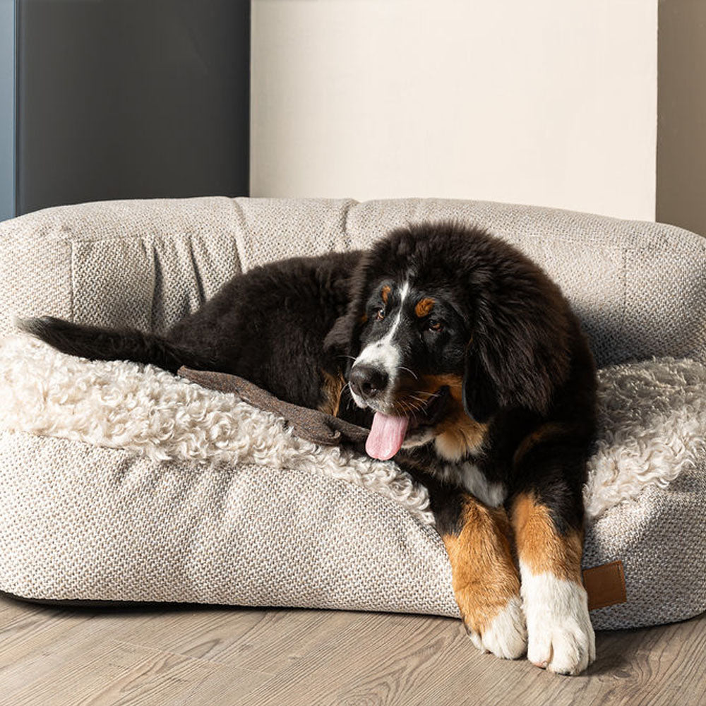 Bau Baru - Sofa Baldo