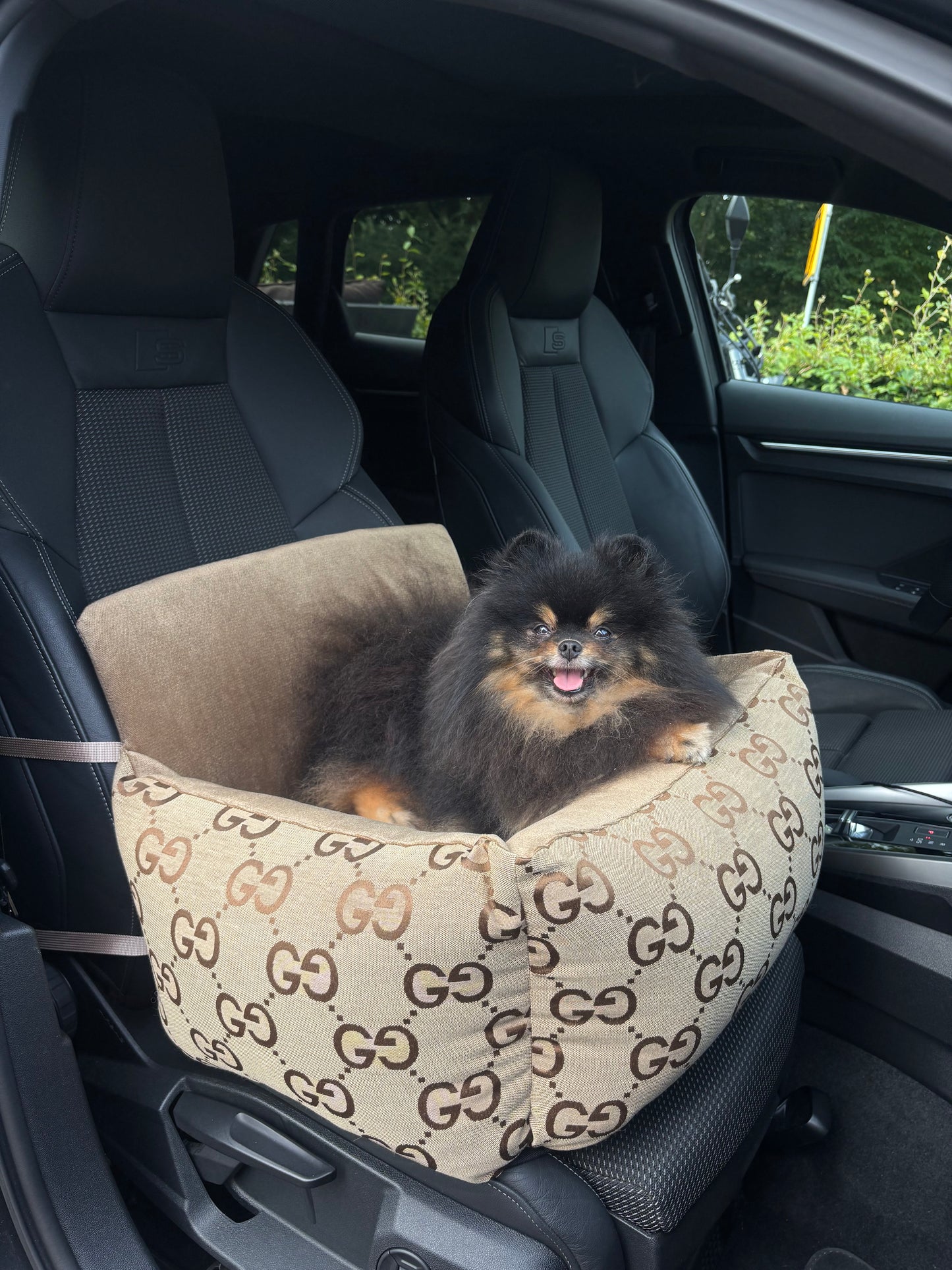 GG Autostoel Beige
