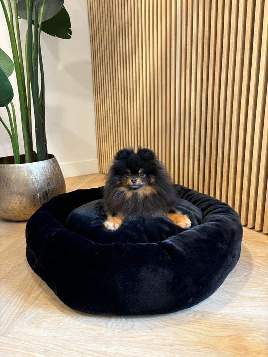 Eh Gia All Peluche Donut Black