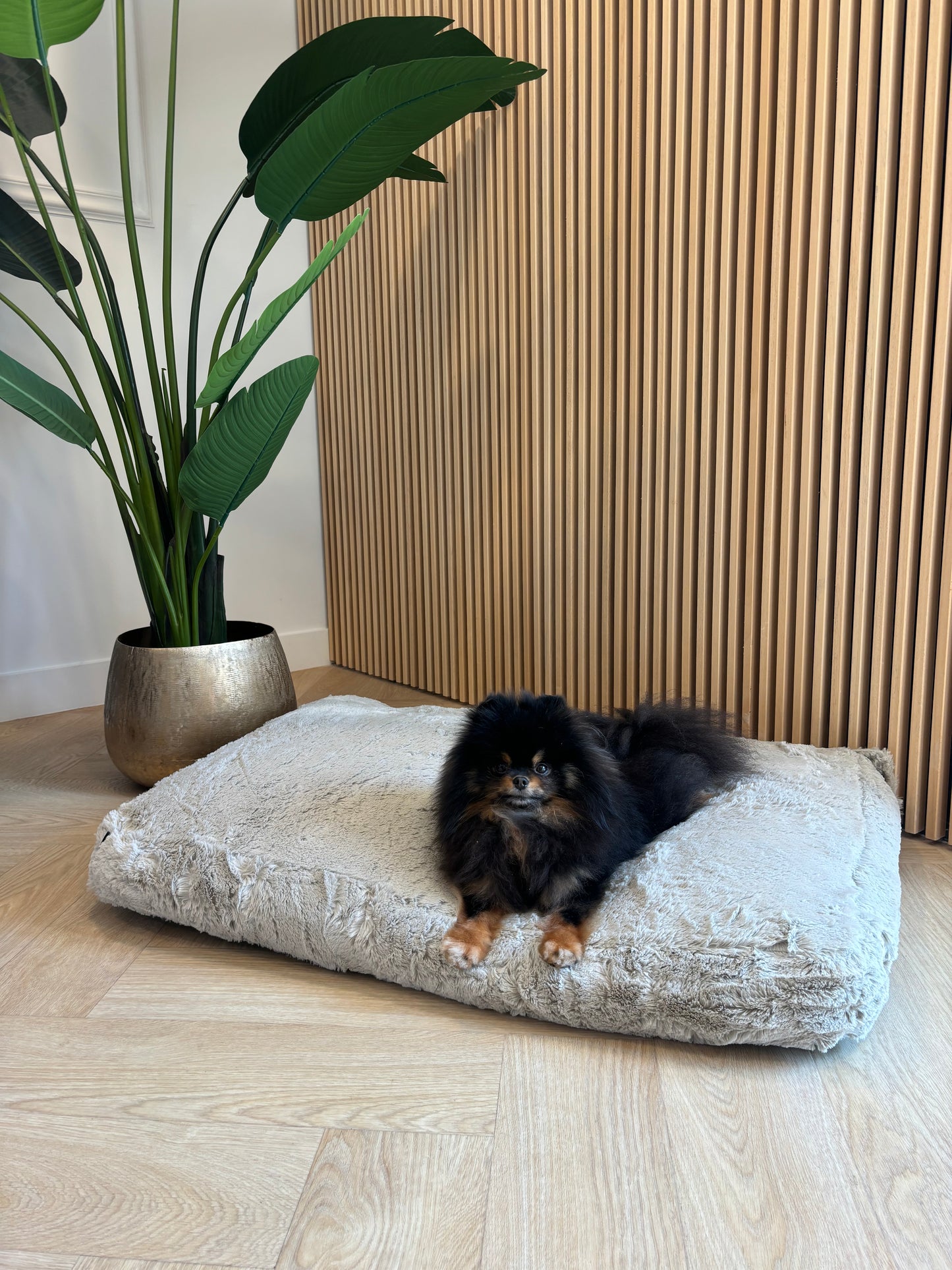 51DN - Zacht kussen lichtgrijs/beige