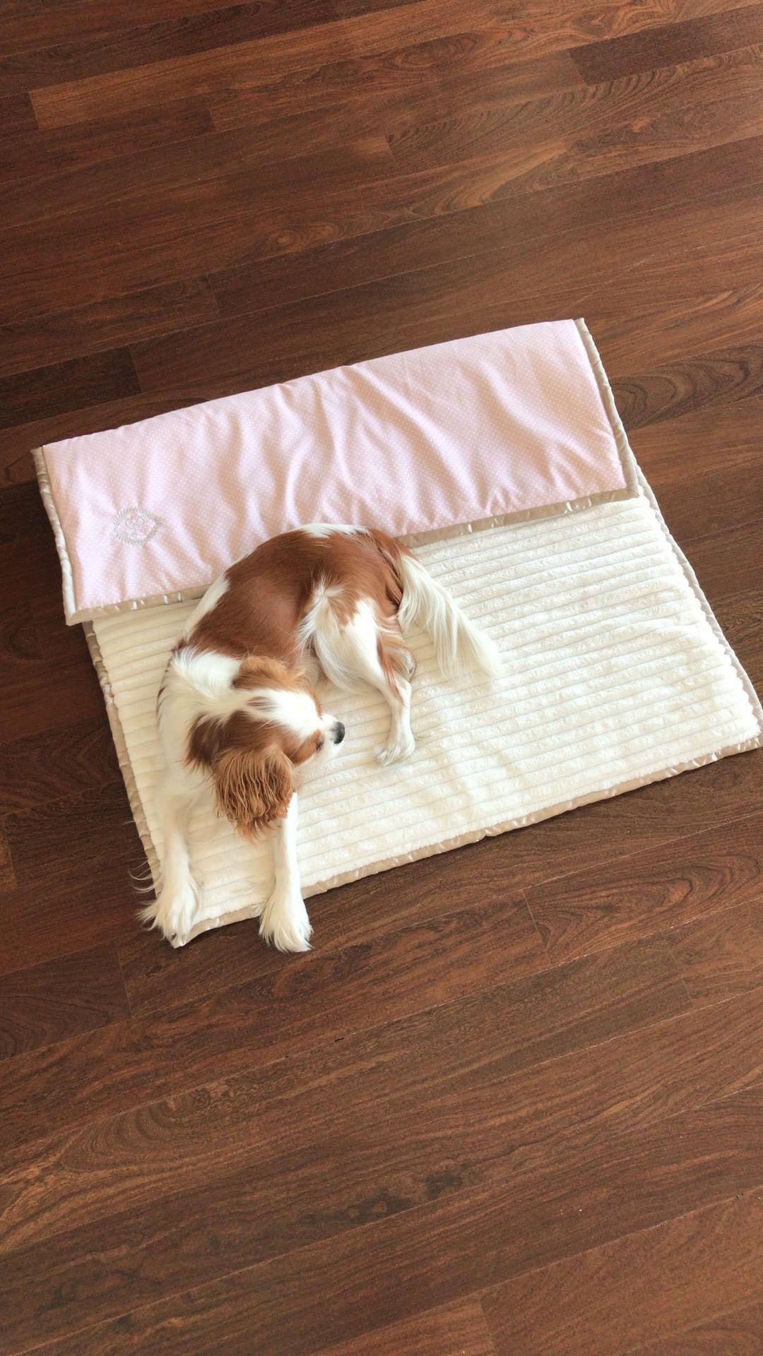 Chloe’s Home Sweet Dreams deken