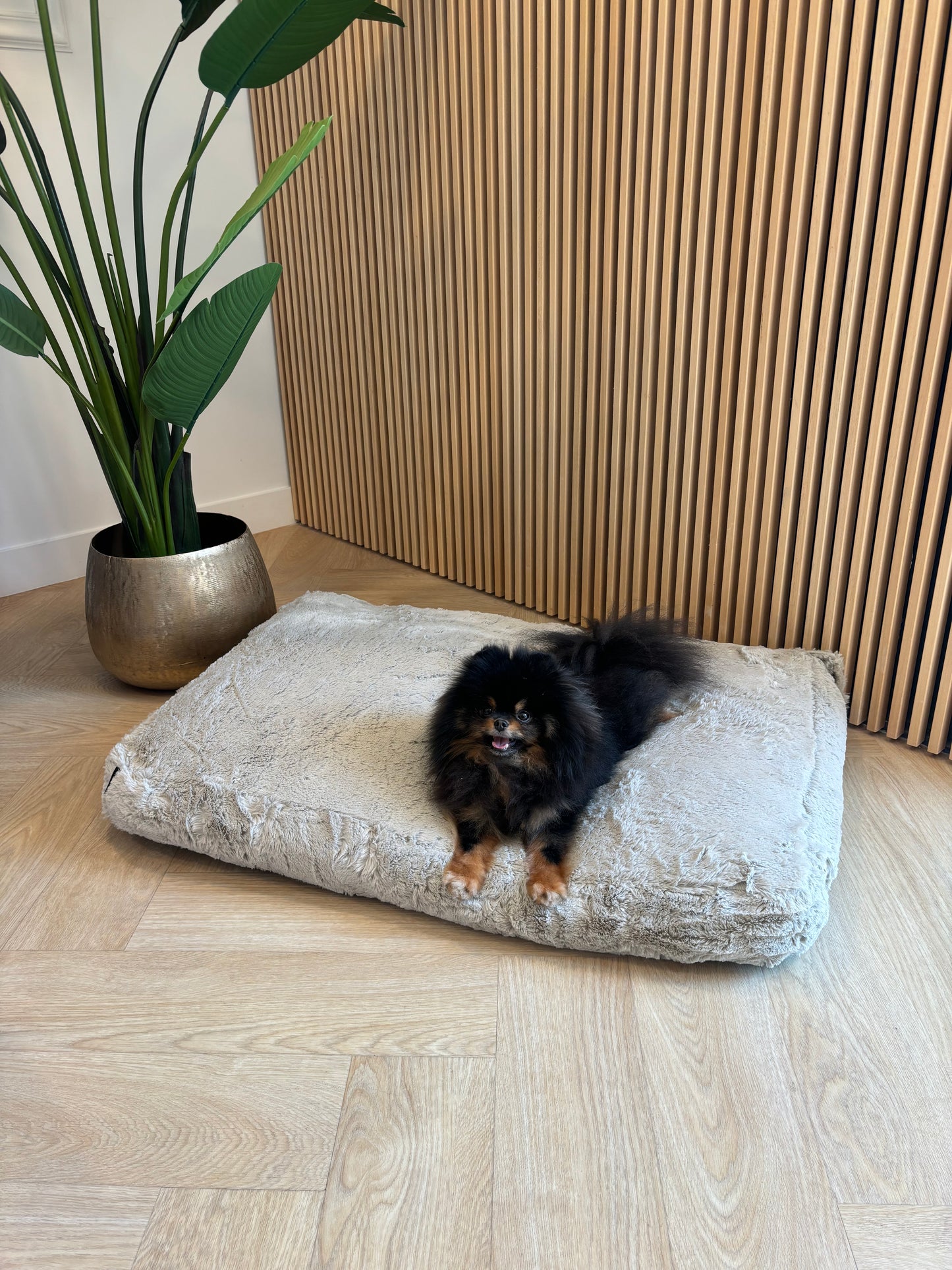 51DN - Zacht kussen lichtgrijs/beige