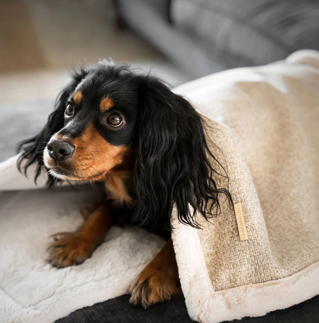 Lords & Labradors - Essentials Herdwick deken