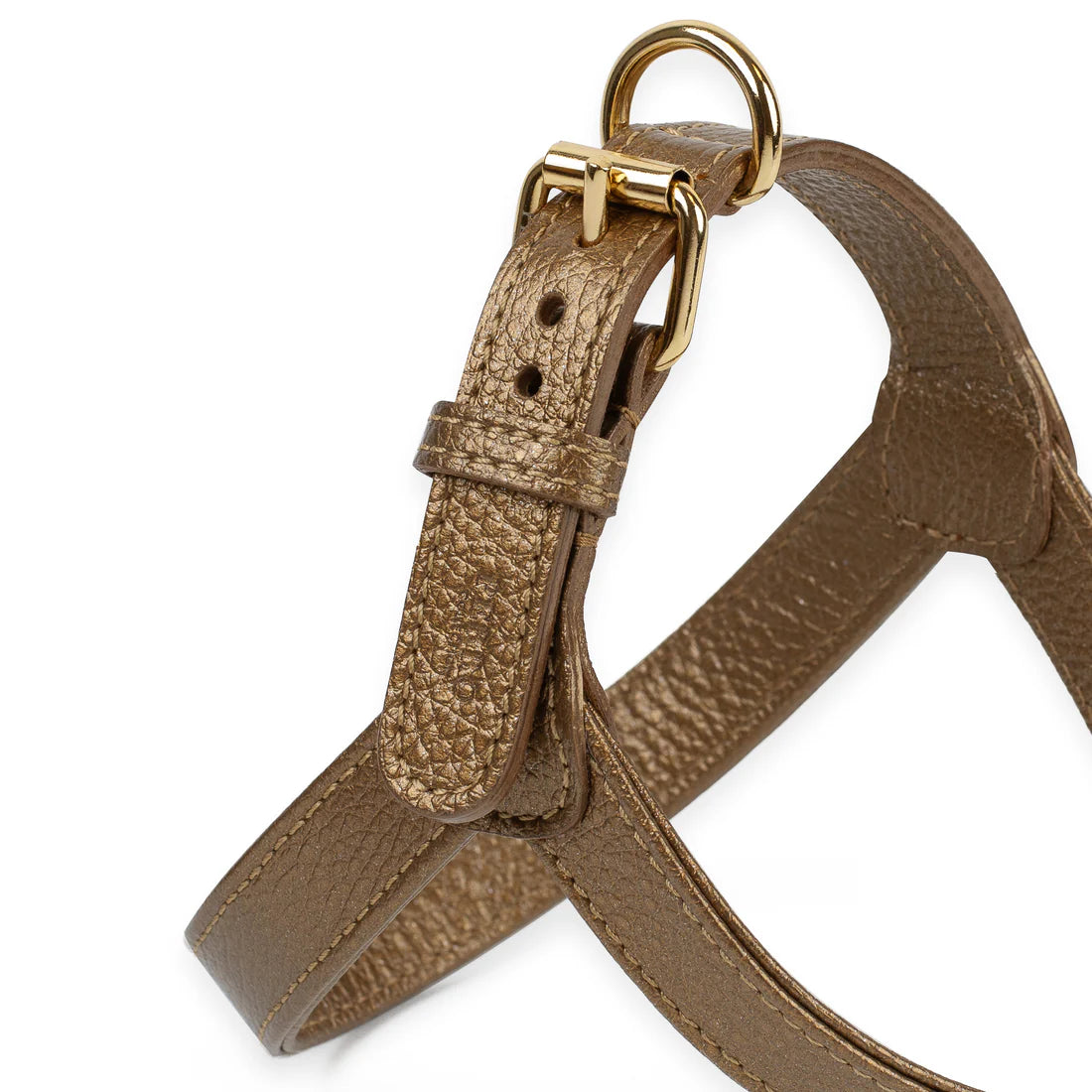 Perro Collection Hondentuig Gold