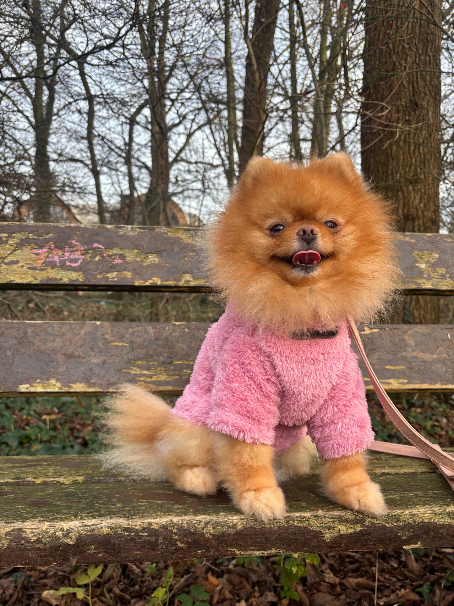 Essentials - Teddy sweater roze