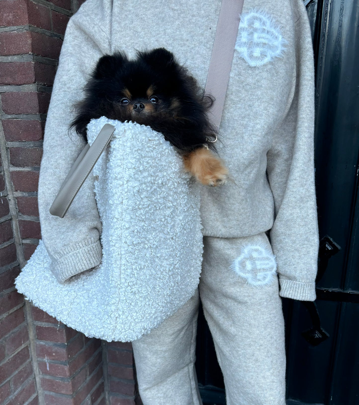 Teddy Bouclé tas