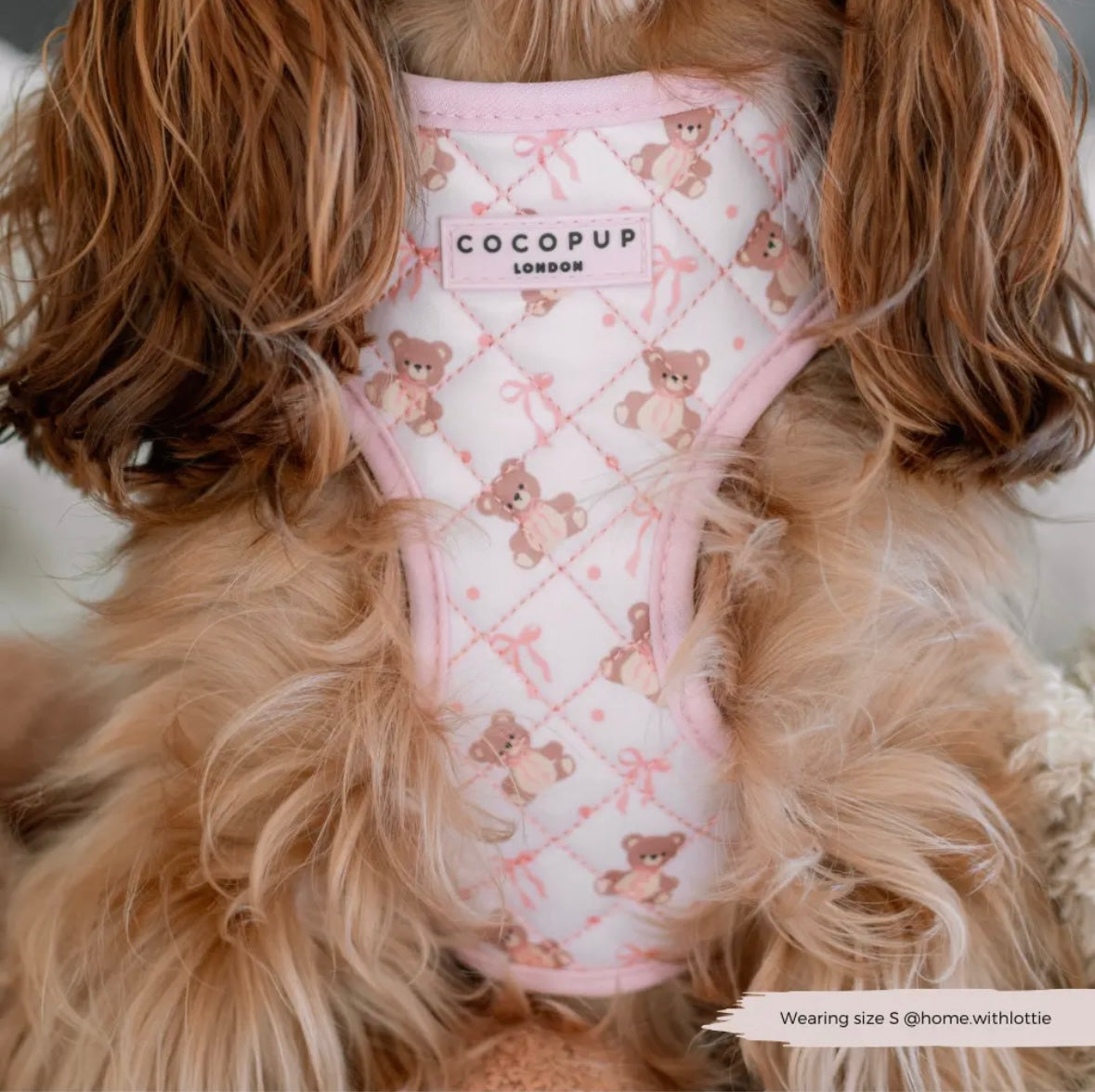 Cocopup London - Tuig teddybeer roze
