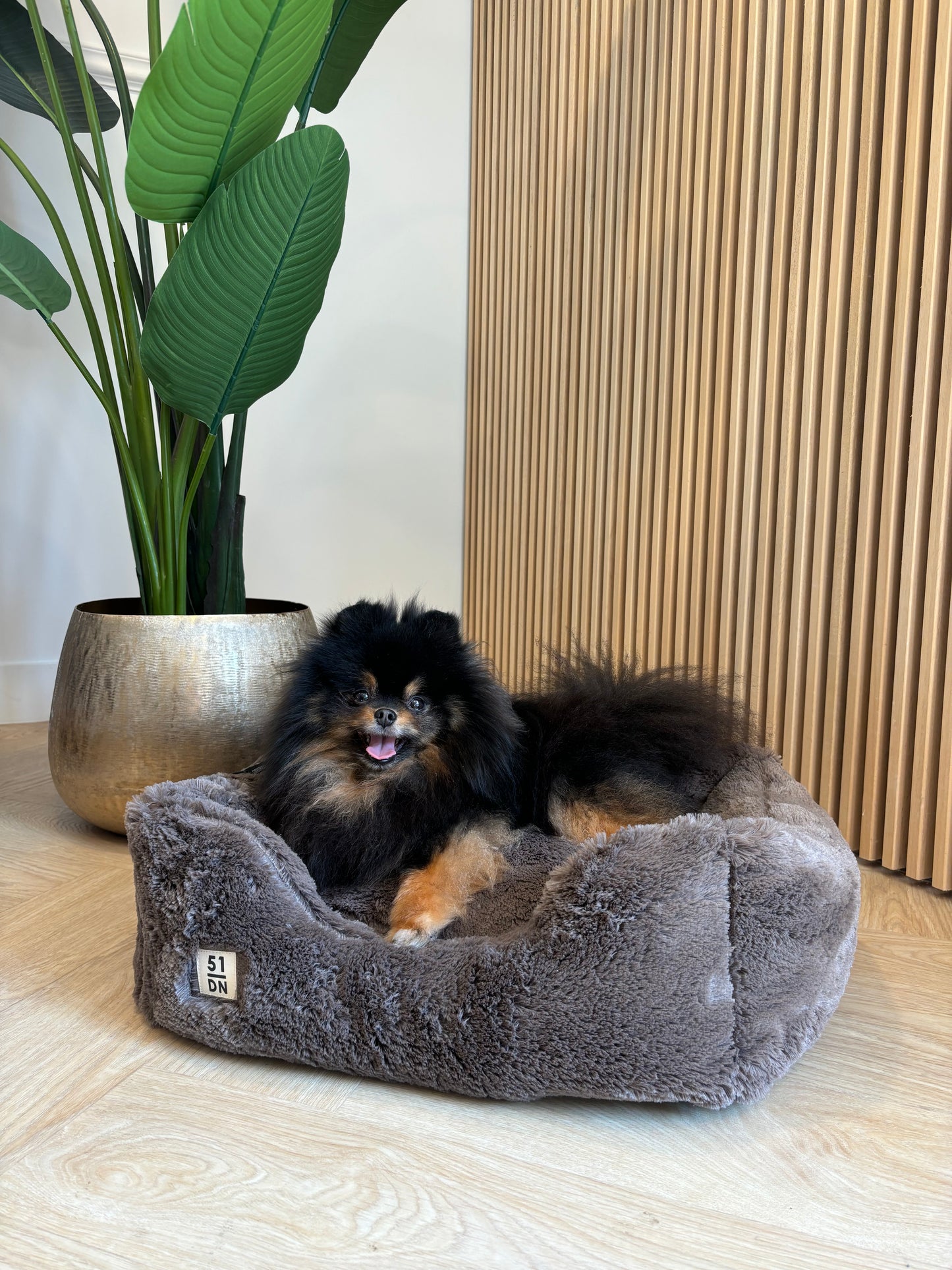 51DN - Zachte mand bruin