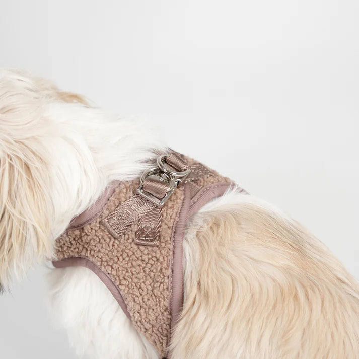 Staey - Hondentuig Teddy Mocca
