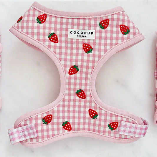 Cocopup London - Strawberry Picnic tuig