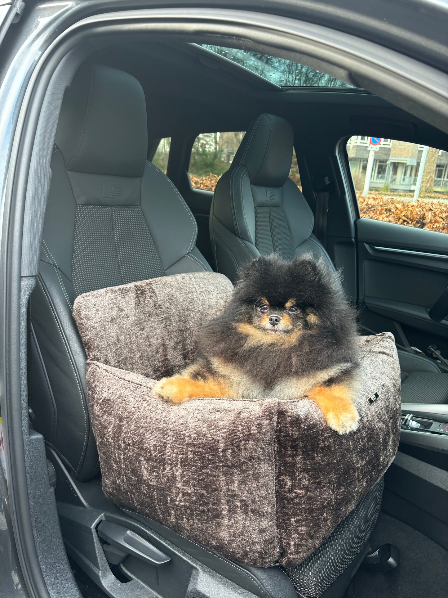 Autostoel Nowi - Donkerbruin