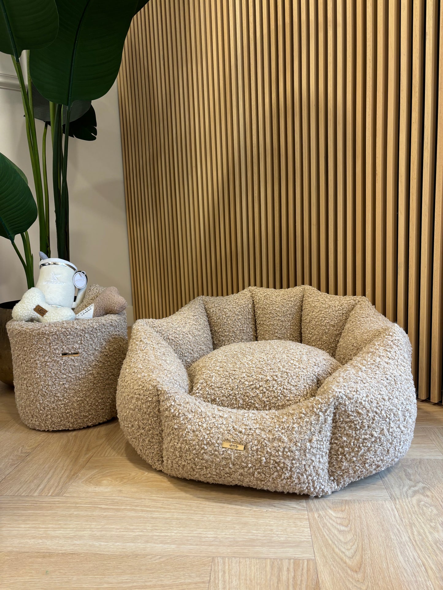 Shell Curly Teddy