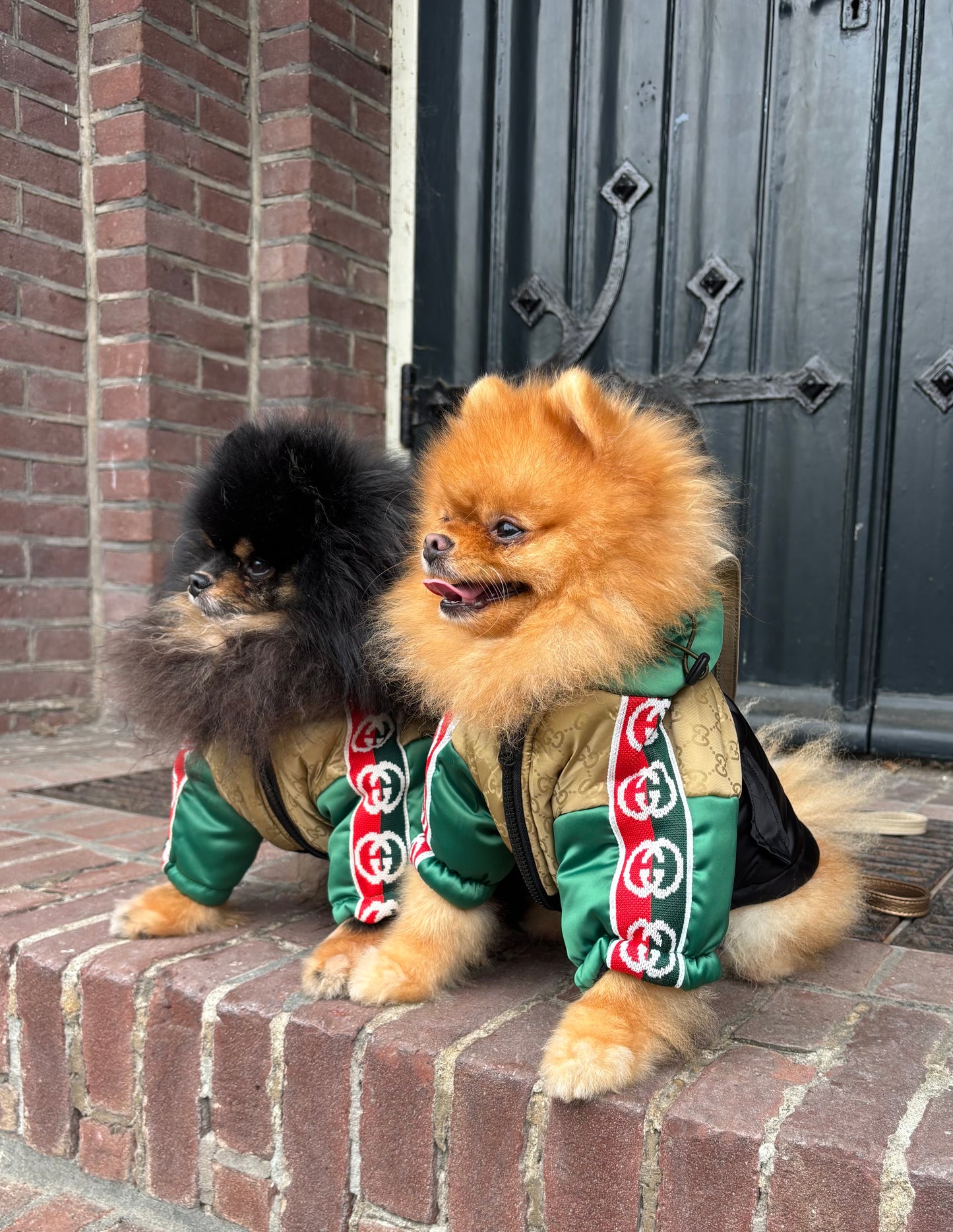 Puffer Jas - GG groen/goud