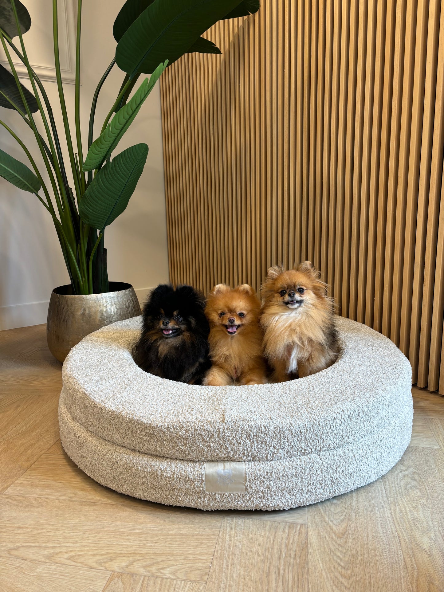 Bouclé Teddy Mand rond