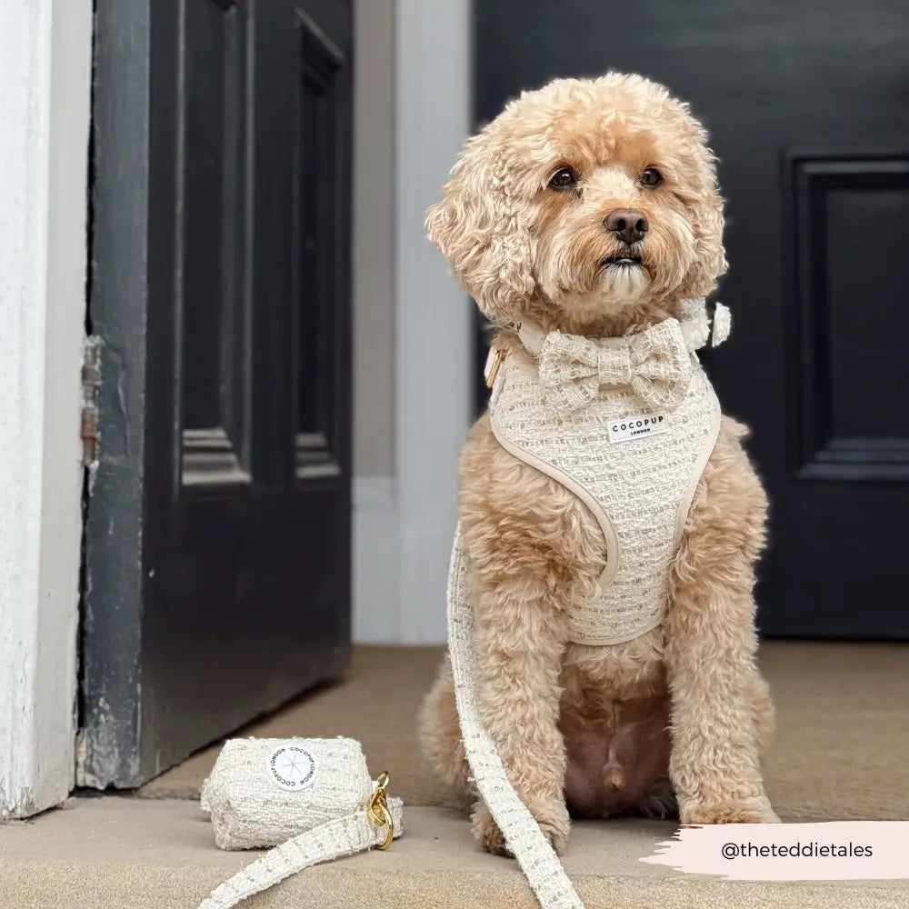 Cocopup London - Lijn Tweed Beige