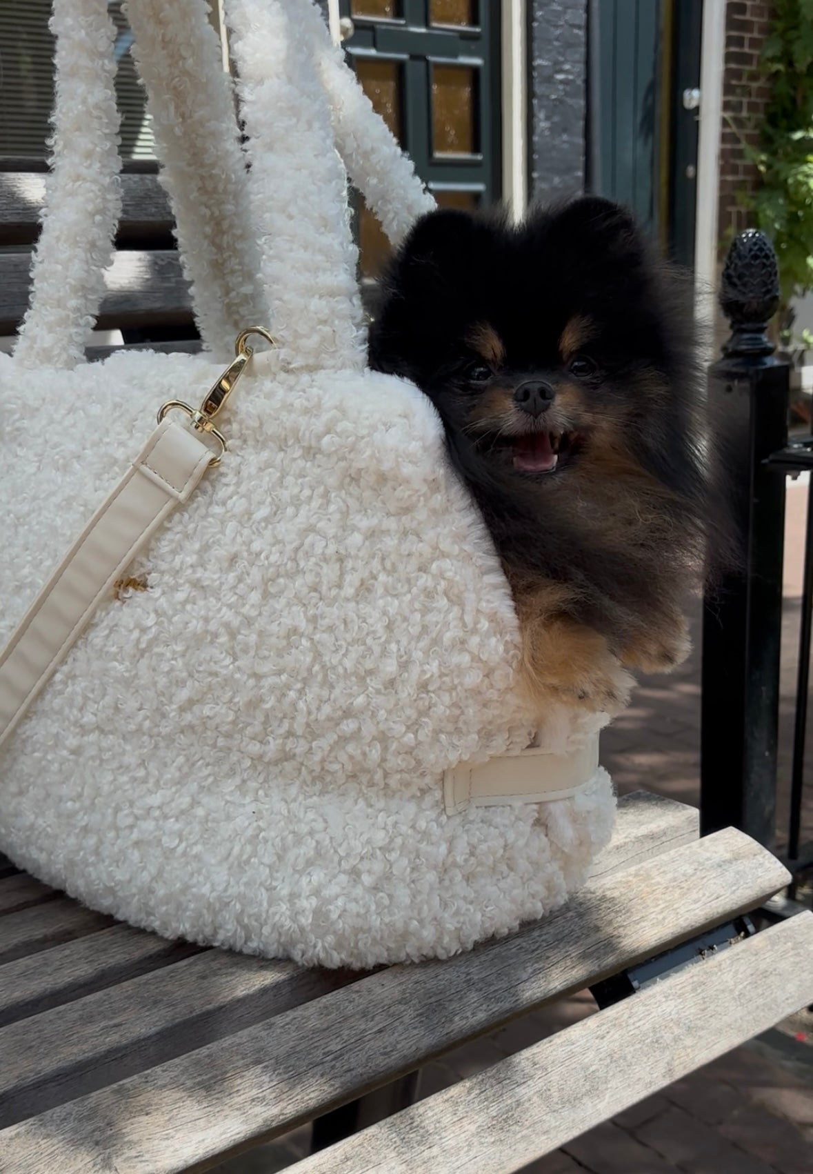 Eh Gia Fair Bag Teddy