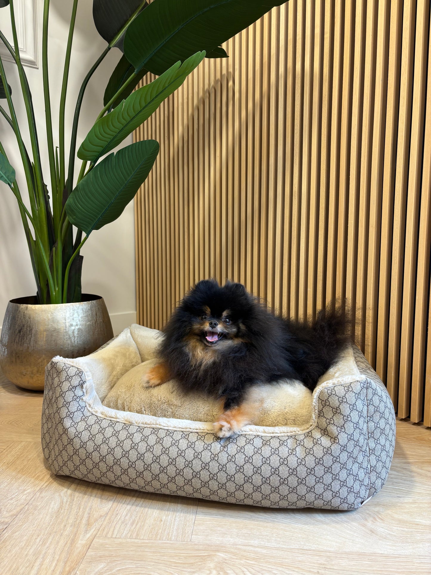 Mand - Leatherlook GG beige