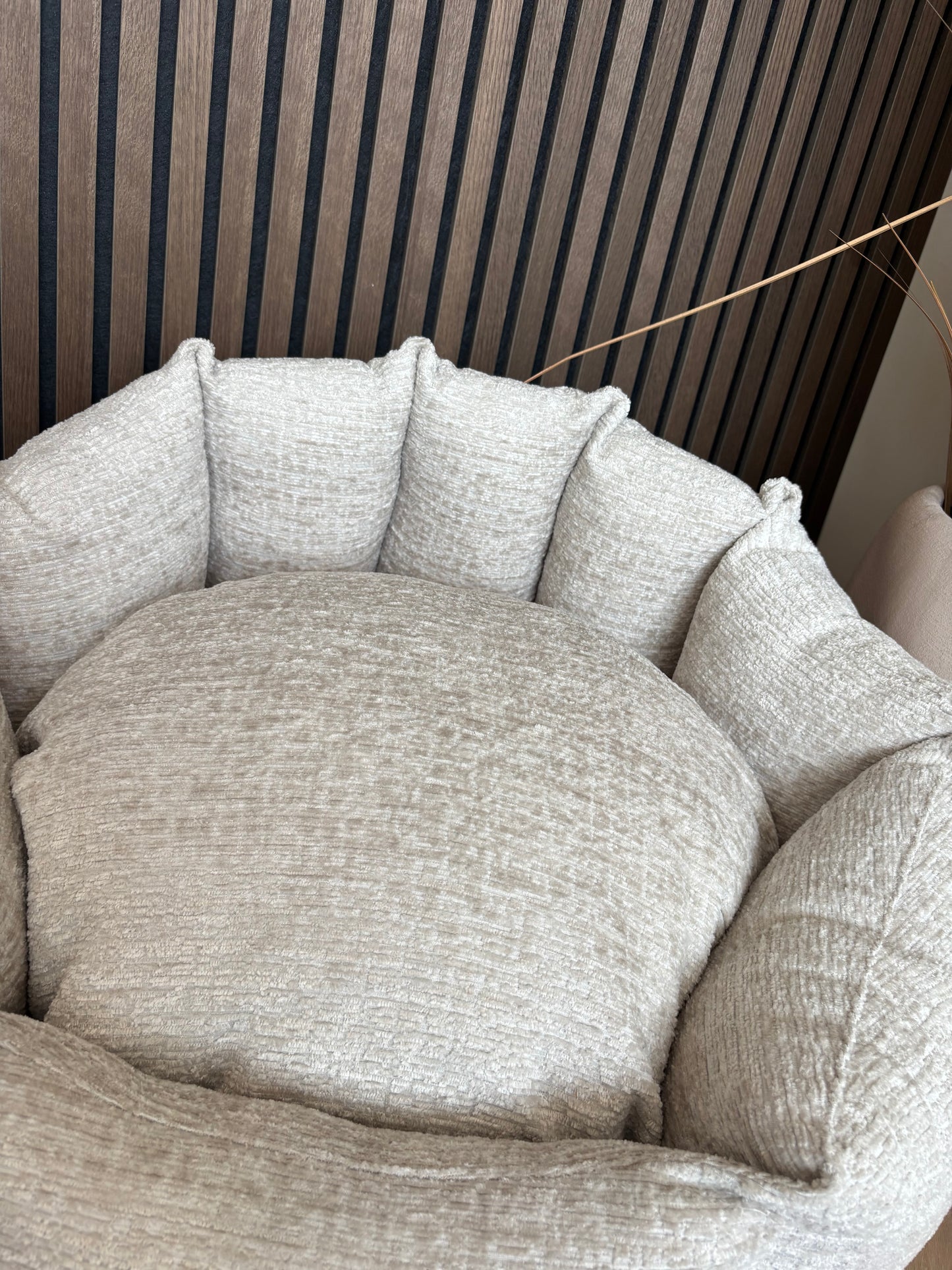 Shell Mand - Fusion champagne