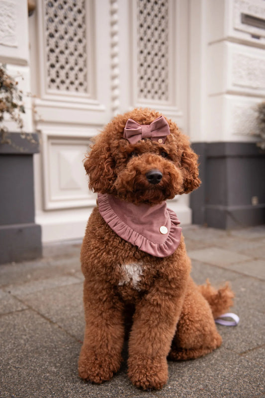 Bandana Ruffle Up Blush