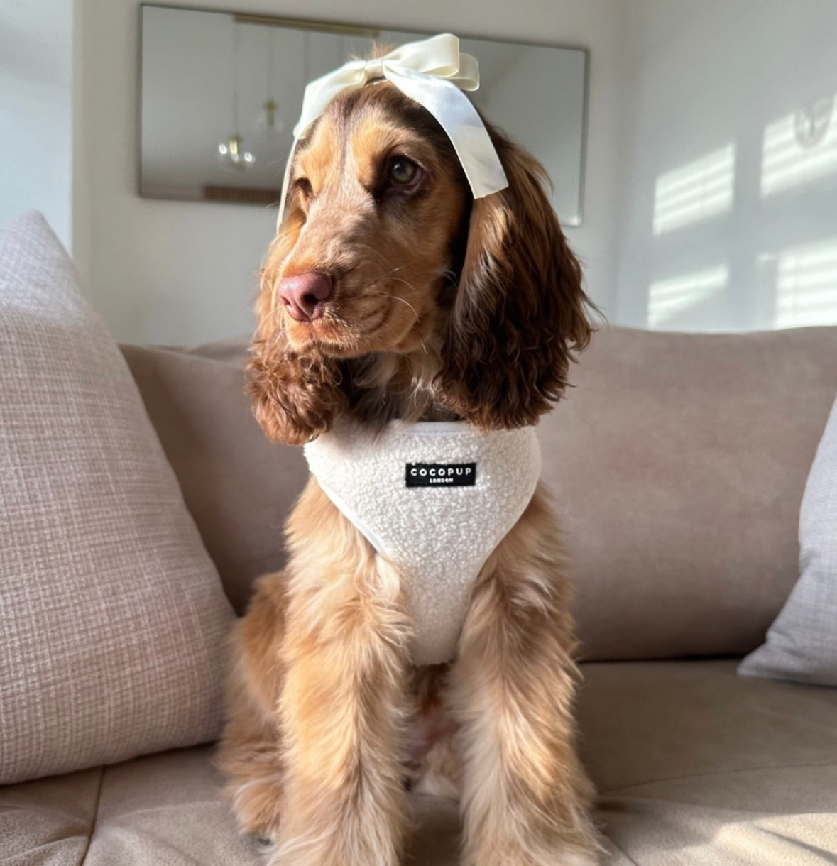 Cocopup London - Teddy Tuig Wit