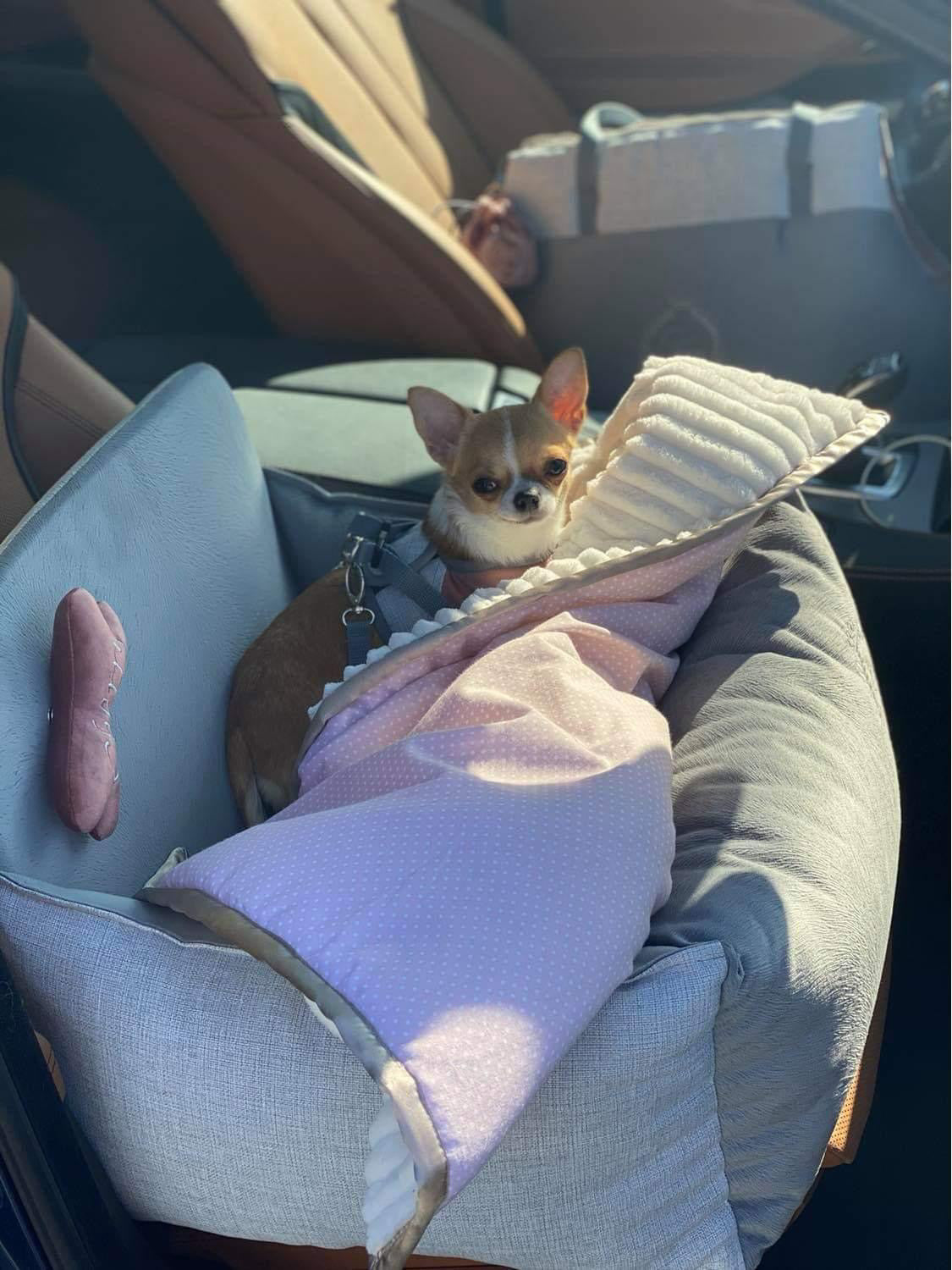 Chloe’s Home Sweet Dreams deken
