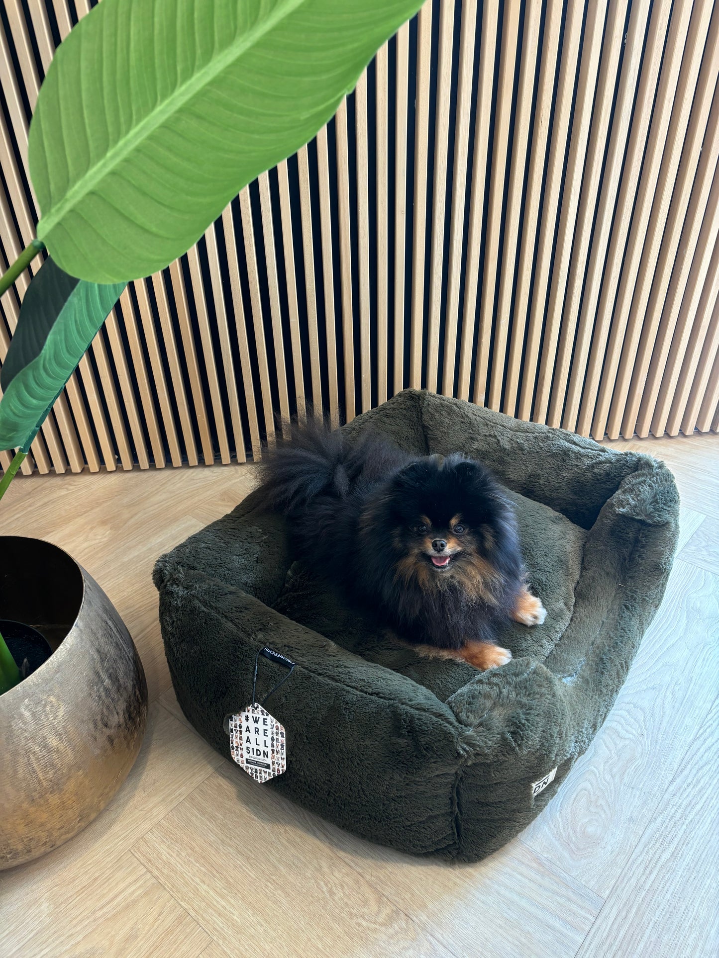 51DN - Zachte mand donkergroen