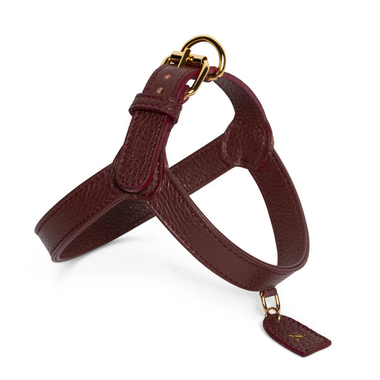 Perro Collection Hondentuig Burgundy